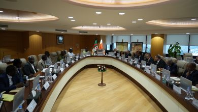 مشروع أنبوب الغاز العابر للصحراء