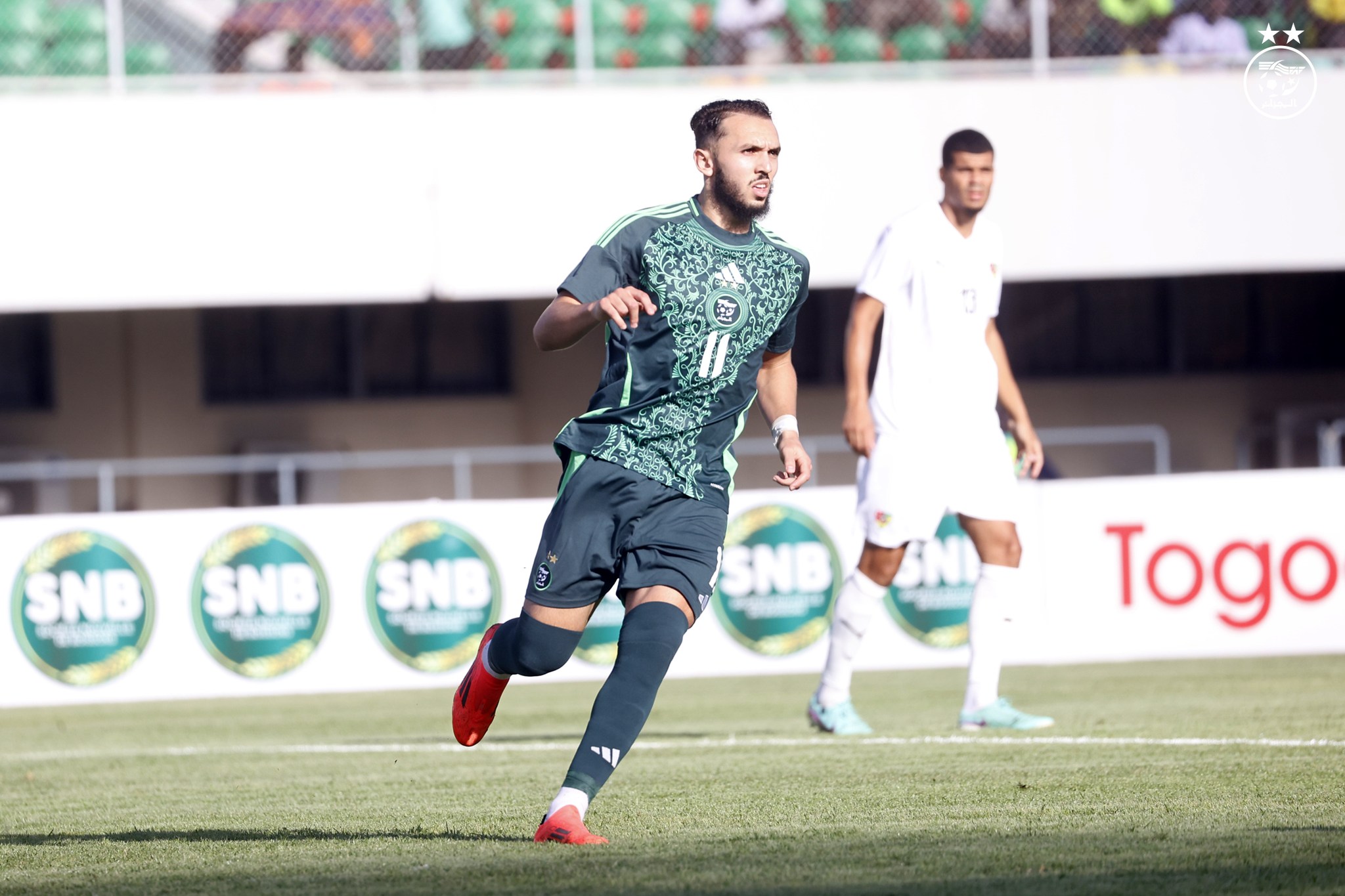 أمين غويري