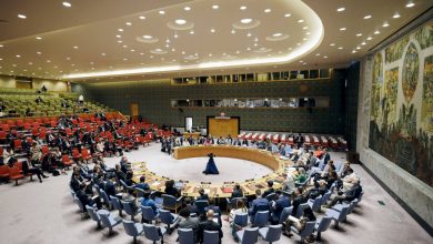 Algeria Calls for Urgent UN Security Council Meeting on Palestine
