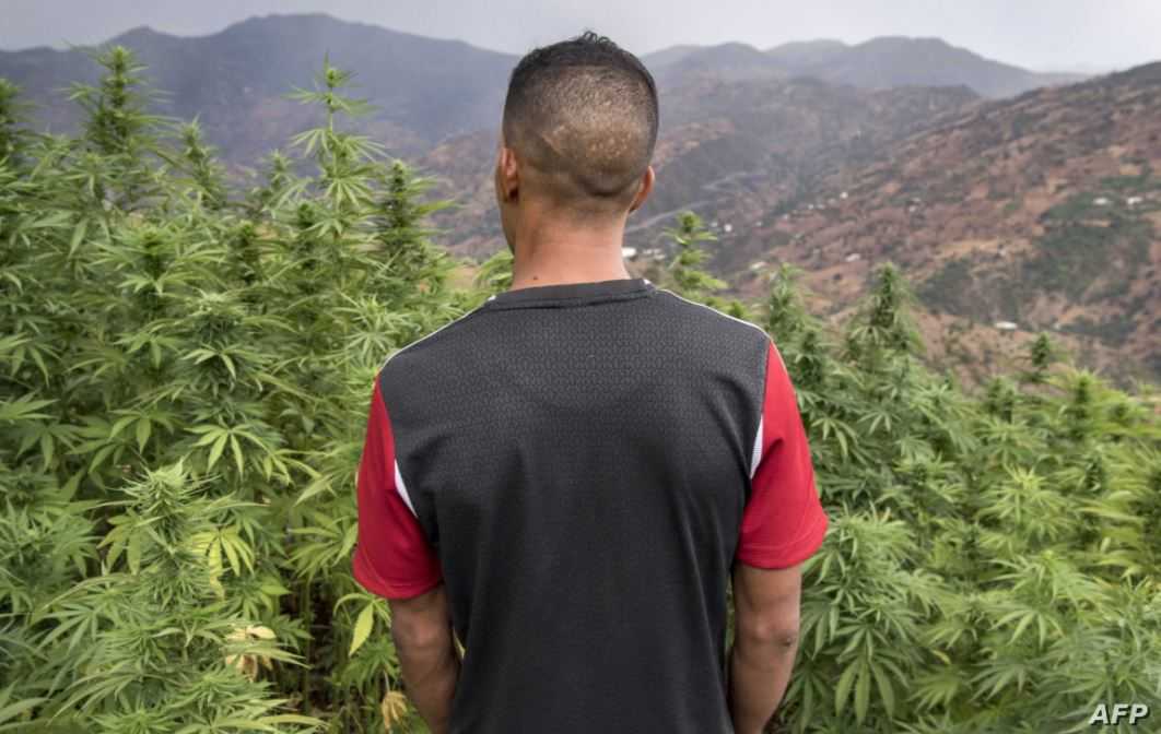 صورة من الأرشيف