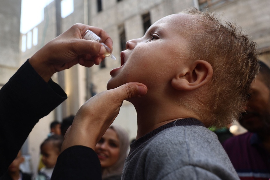 Ghaza : la campagne de vaccination contre la polio reportée