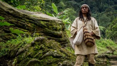 Le gouvernement colombien octroie le statut d'autorités environnementales locales aux indigènes