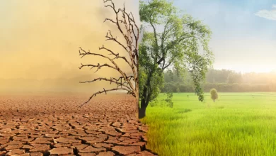 climate
