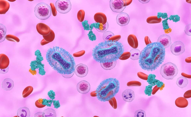 Mpox : le nouveau variant se transmet surtout entre humains (étude)