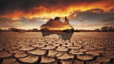 Australie : des phénomènes météorologiques "extrêmes" de plus en plus fréquents