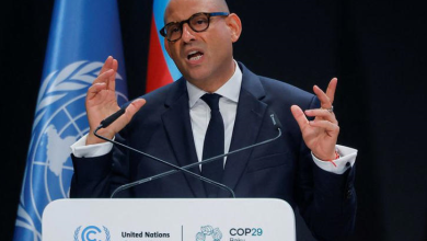 افتتاح كوب 29