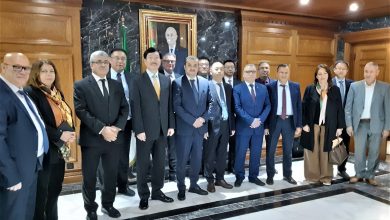 تيرامين وسينوستيل تنطلقان في مشروع منجمي بالجزائر