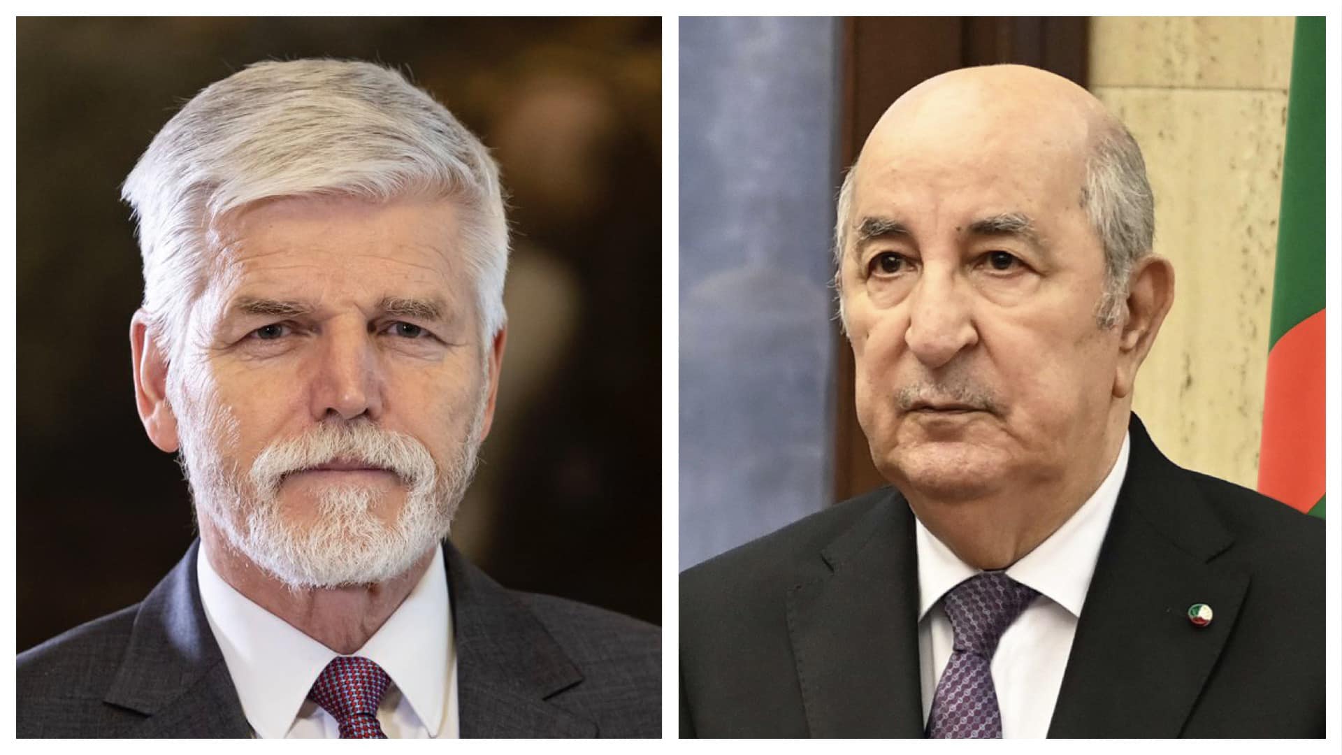 الرئيس الجزائري يتلقى تهاني نظيره التشيكي بمناسبة عيد الثورة التحريرية