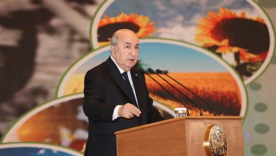 الرئيس الجزائري عبد المجيد تبون