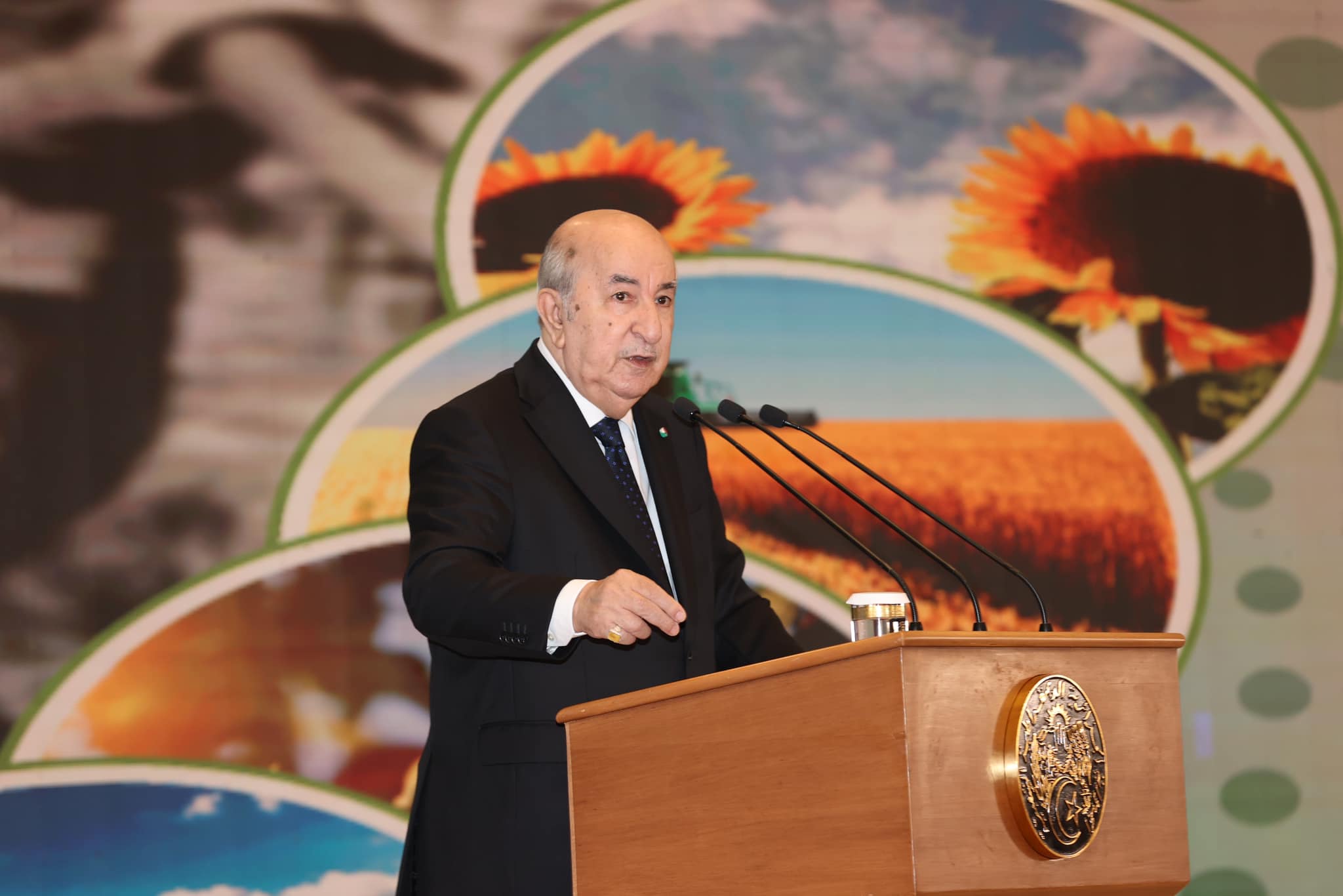 الرئيس الجزائري عبد المجيد تبون