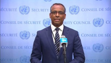 ممثل البوليساريو بالأمم المتحدة سيدي محمد عمار