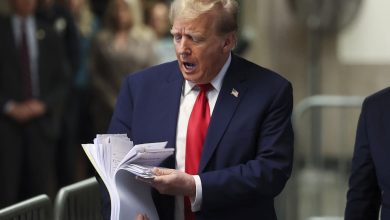 Trump Announces Bold Cabinet Selections