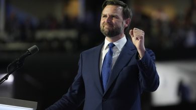 نائب الرئيس الأمريكي جيه دي فانس