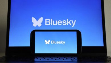 Alternative à X, le réseau social Bluesky gagne un million d'utilisateurs en 24 heures