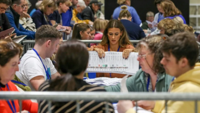 فرز الأصوات في الانتخابات التشريعية في إيرلندا