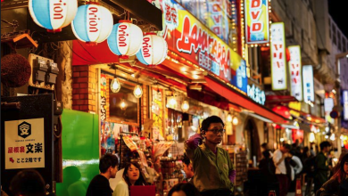 Japan's Economic Growth Slows to 0.2% in Q3 Amid Multiple Challenges