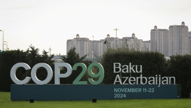 Climate Finance Progress and Challenges Discussed at COP29