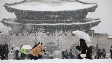 Corée du Sud : chutes de neige records à Séoul pour un mois de novembre