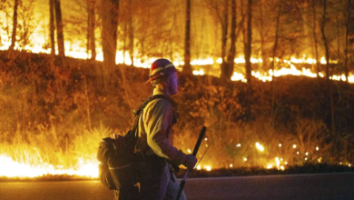Feux de forêt aux États-Unis : au moins un mort à New Jersey, New York en alerte