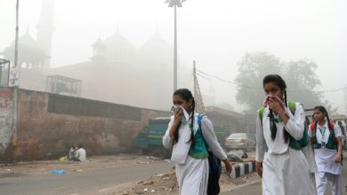 Inde/Pollution de l'air : fermeture de toutes les écoles primaires à New Delhi