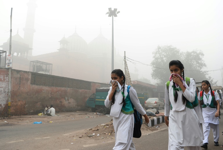 Inde/Pollution de l'air : fermeture de toutes les écoles primaires à New Delhi