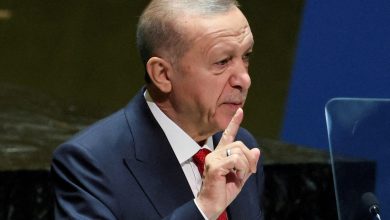 Erdogan Urges Trump to End Zionist Aggression