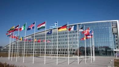 Council of the Nation