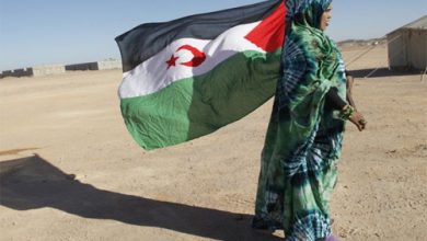 WSRW met en garde les entreprises françaises contre le risque de s'engager dans des projets au Sahara occidental occupé