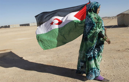 WSRW met en garde les entreprises françaises contre le risque de s'engager dans des projets au Sahara occidental occupé