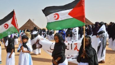 Moroccan Occupation Blamed for Destroying Sahrawi Childhood
