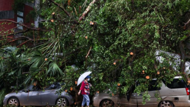 deux morts et 580 blessés après le passage du typhon Kong-rey à Taïwan
