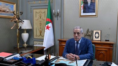 الوزير الأول الجزائري نذير العرباوي