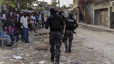 UN Reports 150 Killed in Port-au-Prince Amid Surge in Gang Violence