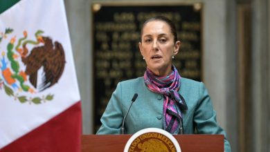 Mexican President Engages in Key Talks with Donald Trump on Immigration and Security Issues