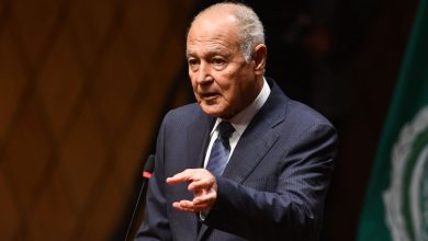 الأمين العام لجامعة الدول العربية أحمد أبو الغيط