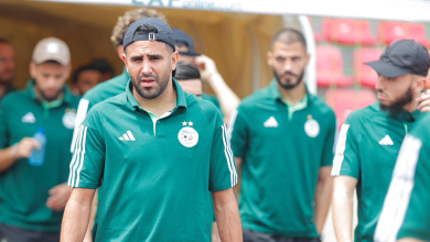 بيتكوفيتش يعلن التشكيلة الأساسية لمنتخب الجزائر في مواجهة غينيا الاستوائية
