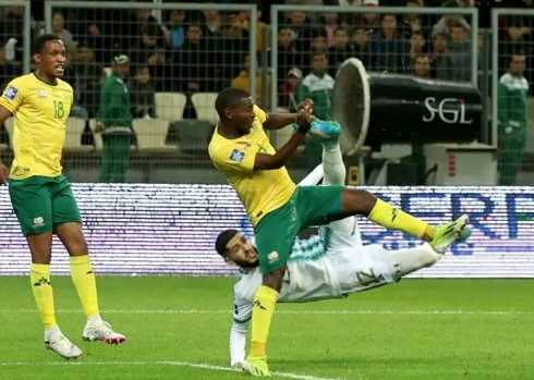 ياسين بن زية