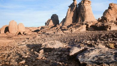 موقع طاسيلي ناجر الطبيعي في الجزائر