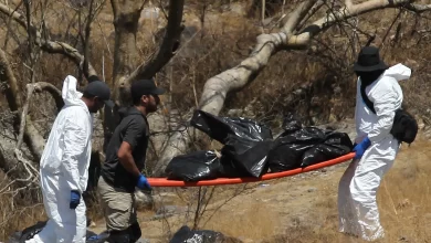 Gruesome Discovery in Mexico: At Least Five Dismembered Bodies Found in Van