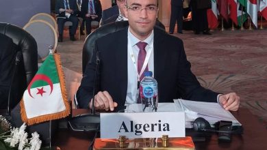 كاتب الدولة لدى وزير الشؤون الخارجية الجزائري، مكلف بالجالية الوطنية في الخارج، سفيان شايب