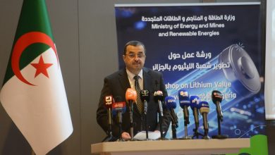 وزير الدولة وزير الطاقة الجزائري محمد عرقاب