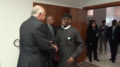 صورة من الأرشيف