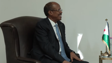 وزير الشؤون الخارجية والتعاون الدولي بجمهورية جيبوتي محمود علي يوسف