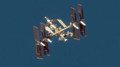 ناسا وسبيس إكس تخططان لإطلاق مهمة مأهولة جديدة إلى محطة الفضاء الدولية في مارس 2025