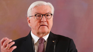 German President to Decide on Parliament Dissolution Today