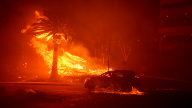 Etats-Unis un incendie se propage rapidement à Malibu près de Los Angeles