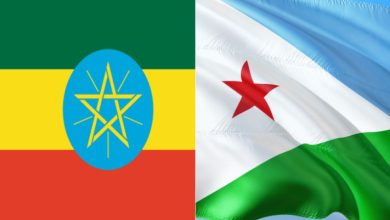 L'Ethiopie et Djibouti conviennent de lutter contre les forces anti-paix le long de leur frontière commune