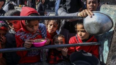 الأمم المتحدة: العدوان الصهيوني يتسبب في تدمير الأنظمة الغذائية في قطاع غزة