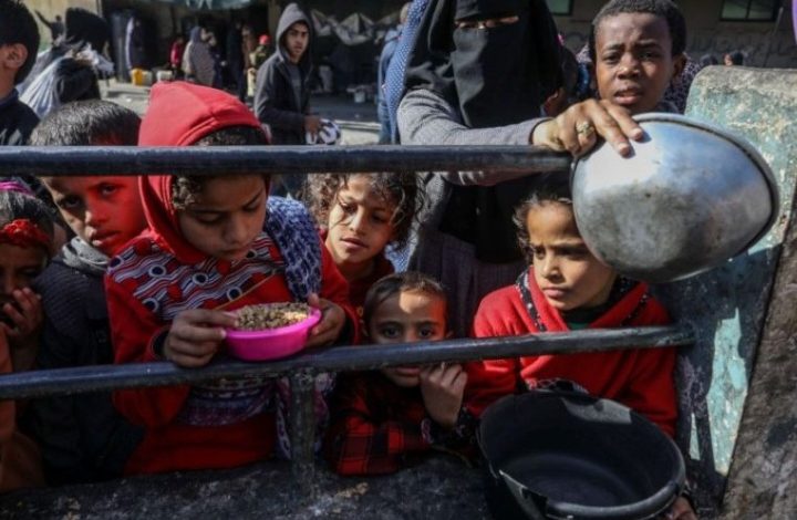 الأمم المتحدة: العدوان الصهيوني يتسبب في تدمير الأنظمة الغذائية في قطاع غزة