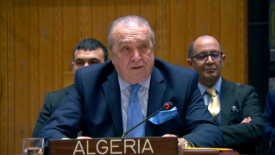 Algeria's Ambassador to the UN Calls for Immediate Ceasefire and Diplomatic Efforts in Sudan